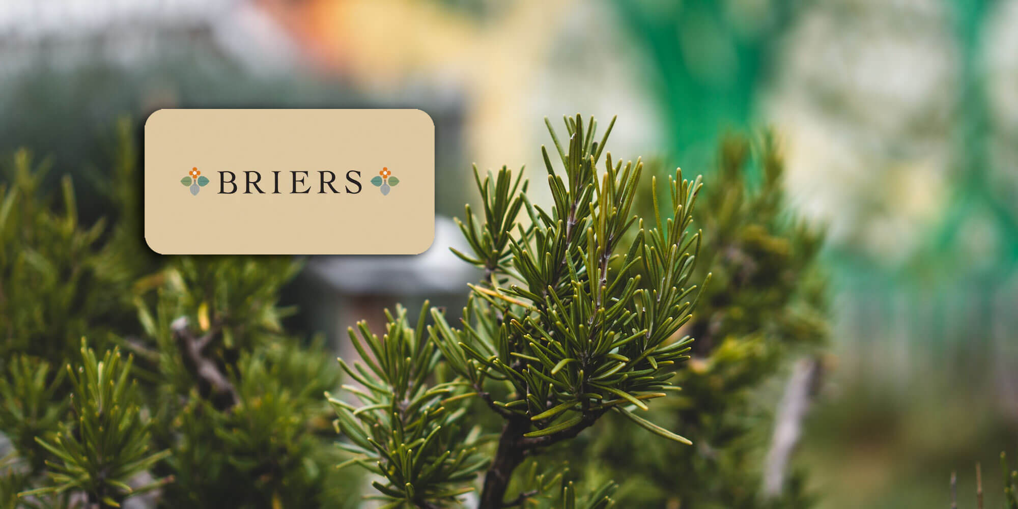 Briers – New Gardener