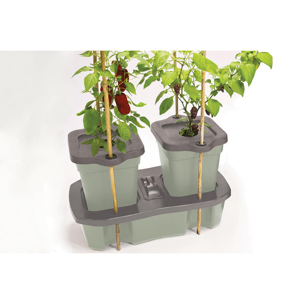 garland self watering windowsill plant tray Garland Large Self Watering Plant Tray – New Gardener
