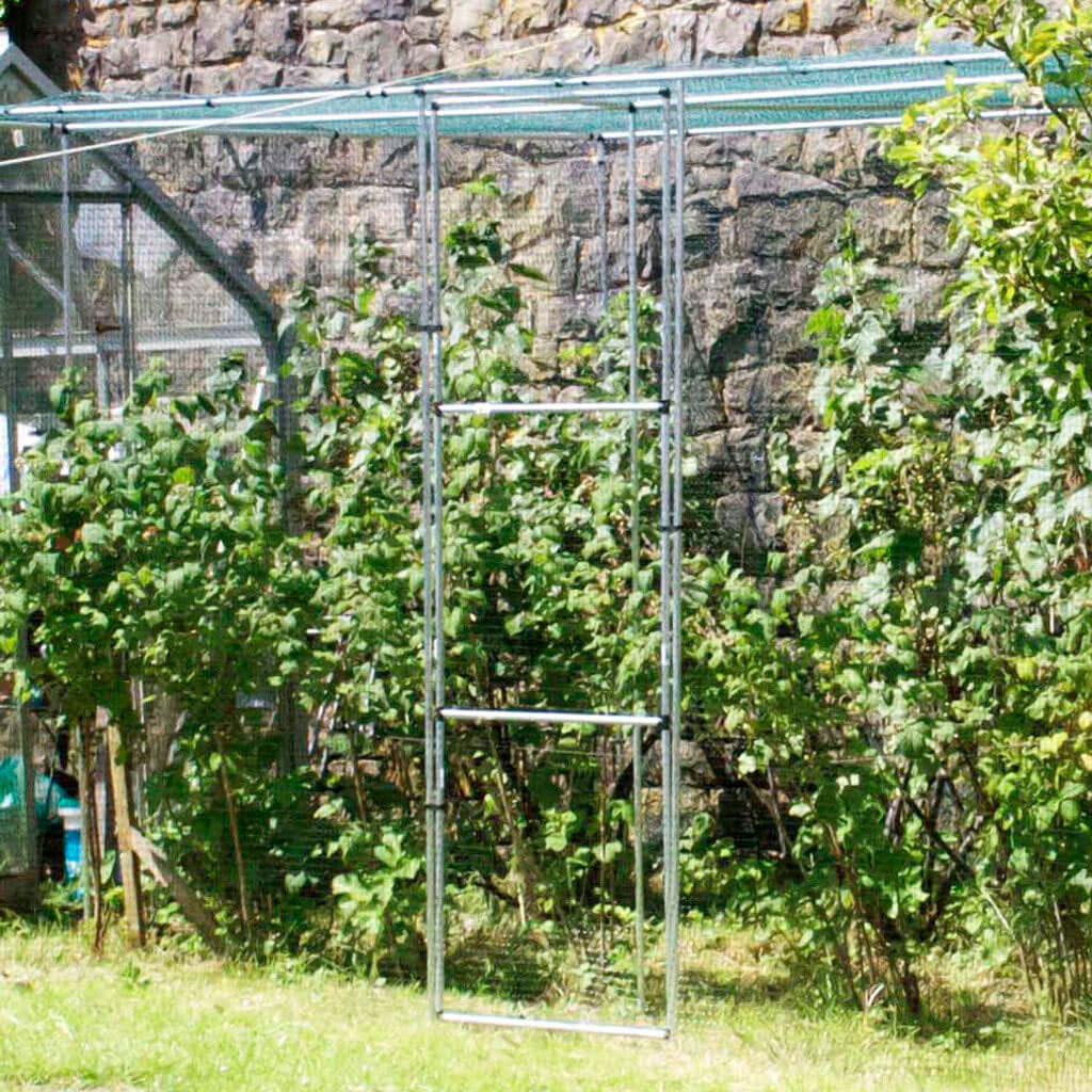 Mainframe Walk In Fruit Cage Starter Kit 6ft x 12ft – New Gardener