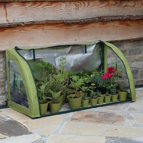 Haxnicks Light Booster Cold Frame