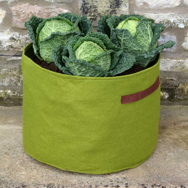 Haxnicks Vigoroot Vegetable Planter