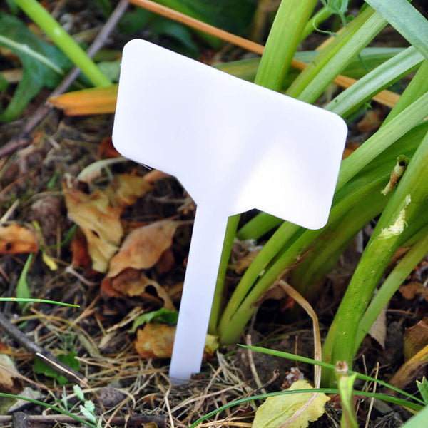Shedmates Large Plant Markers (Pack of 10)