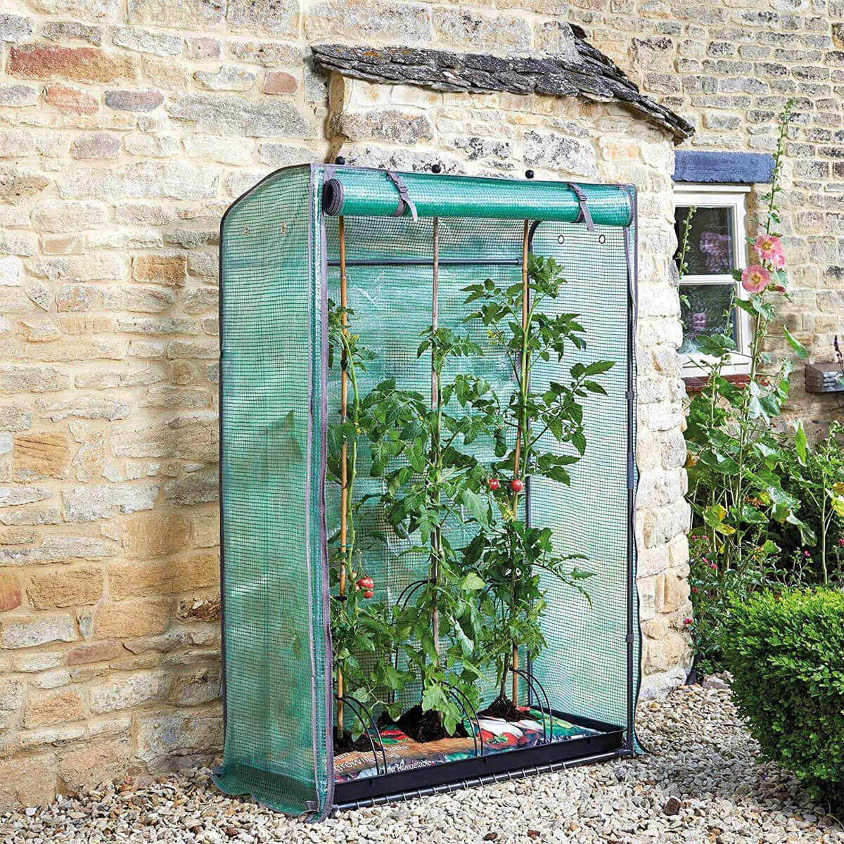 Smart Garden Tomato GroZone – New Gardener