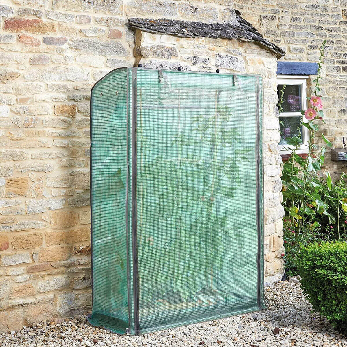 We Chose The Best Smart Garden Products Grozone Max Growhouse in The UK