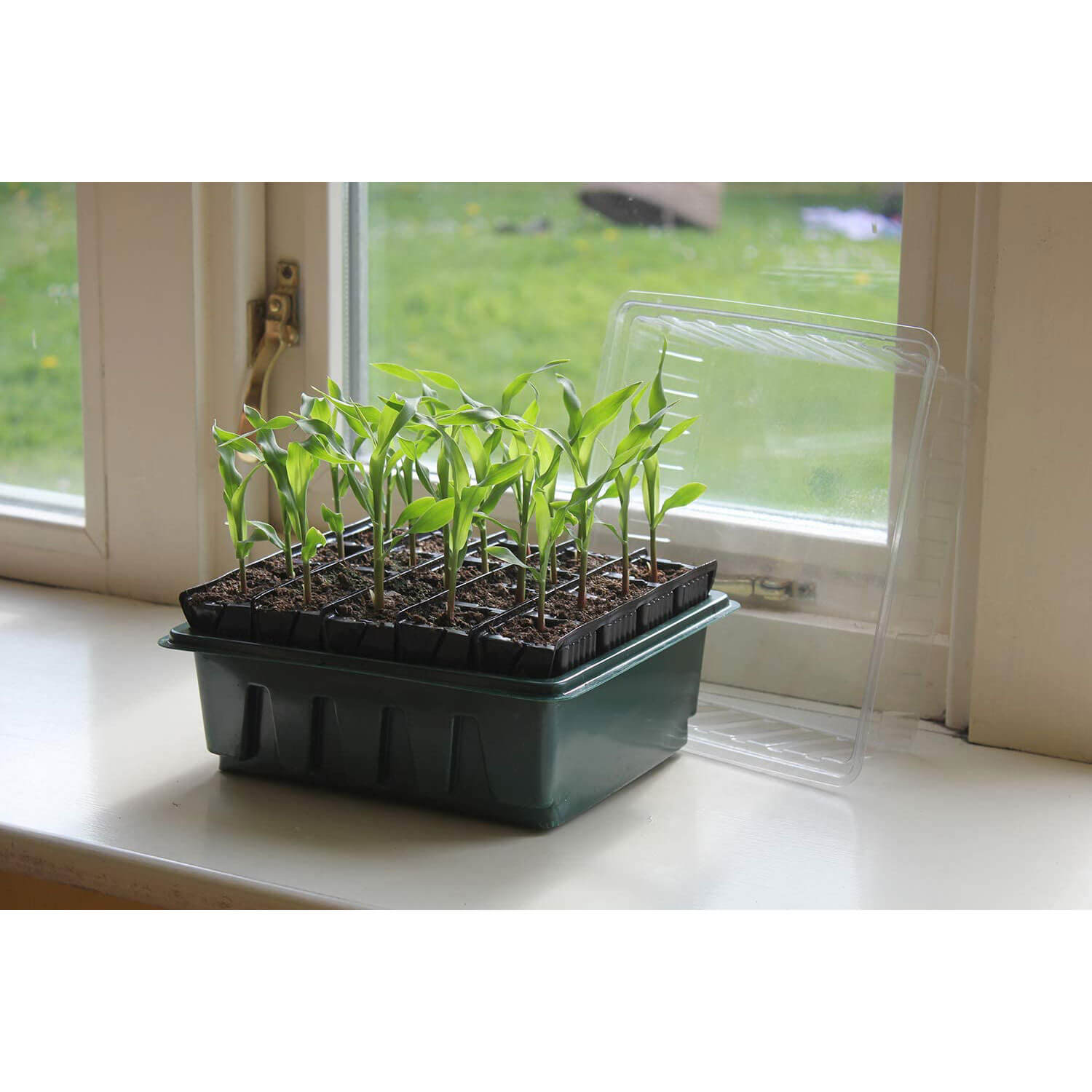 Rainer Roots Haxnicks Compact Rapid Rootrainers – New Gardener